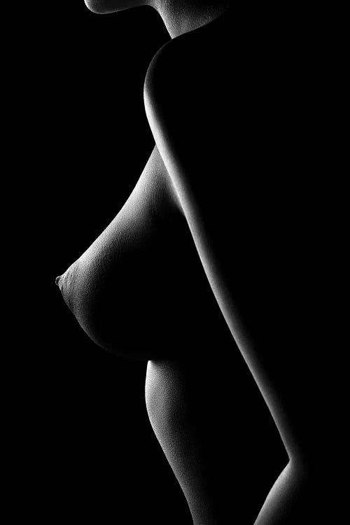 Nude woman bodyscape 65