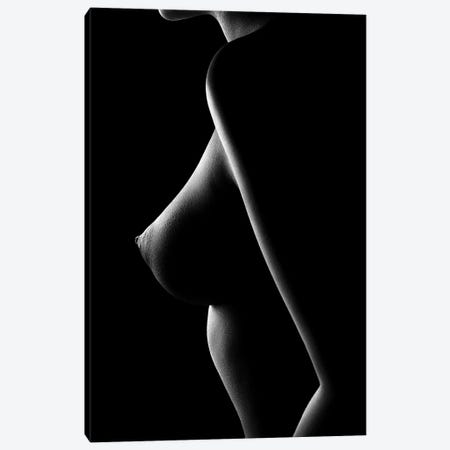 Nude woman bodyscape 65 Canvas Print #JSW176} by Johan Swanepoel Canvas Art
