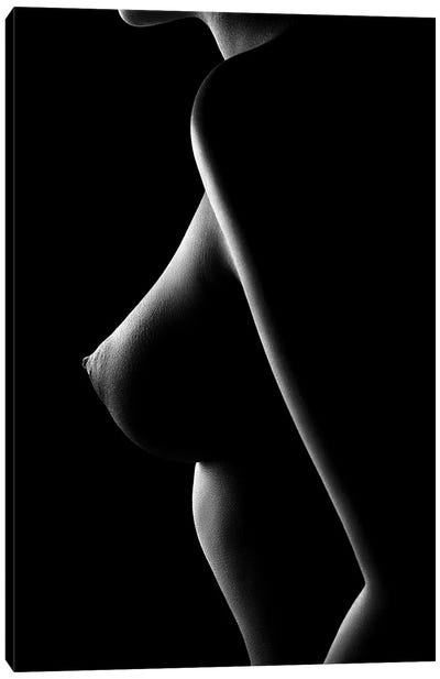 Nude woman bodyscape 65 Canvas Art Print - Johan Swanepoel