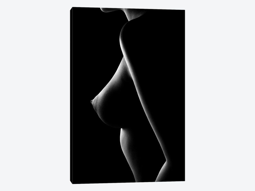 Nude woman bodyscape 65 by Johan Swanepoel 1-piece Canvas Wall Art