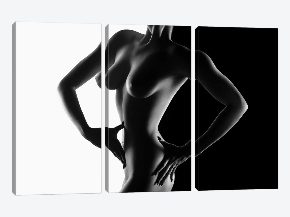 Nude Black Versus White I by Johan Swanepoel 3-piece Art Print