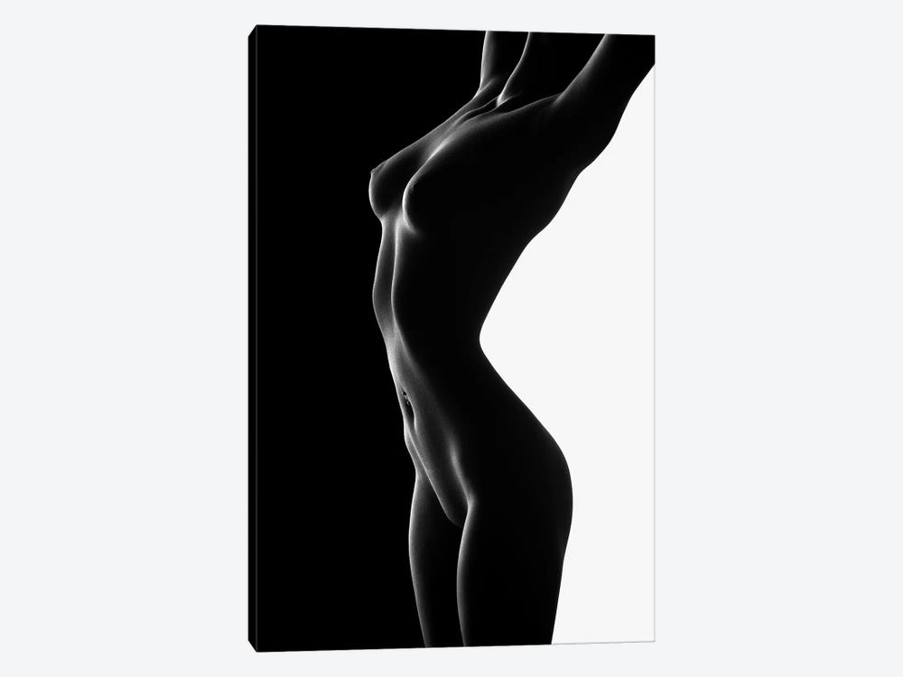 Nude Black Versus White II by Johan Swanepoel 1-piece Canvas Art