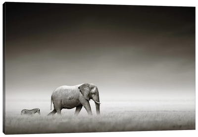 Elephant With Zebra Canvas Art Print - Black & White Animal Art