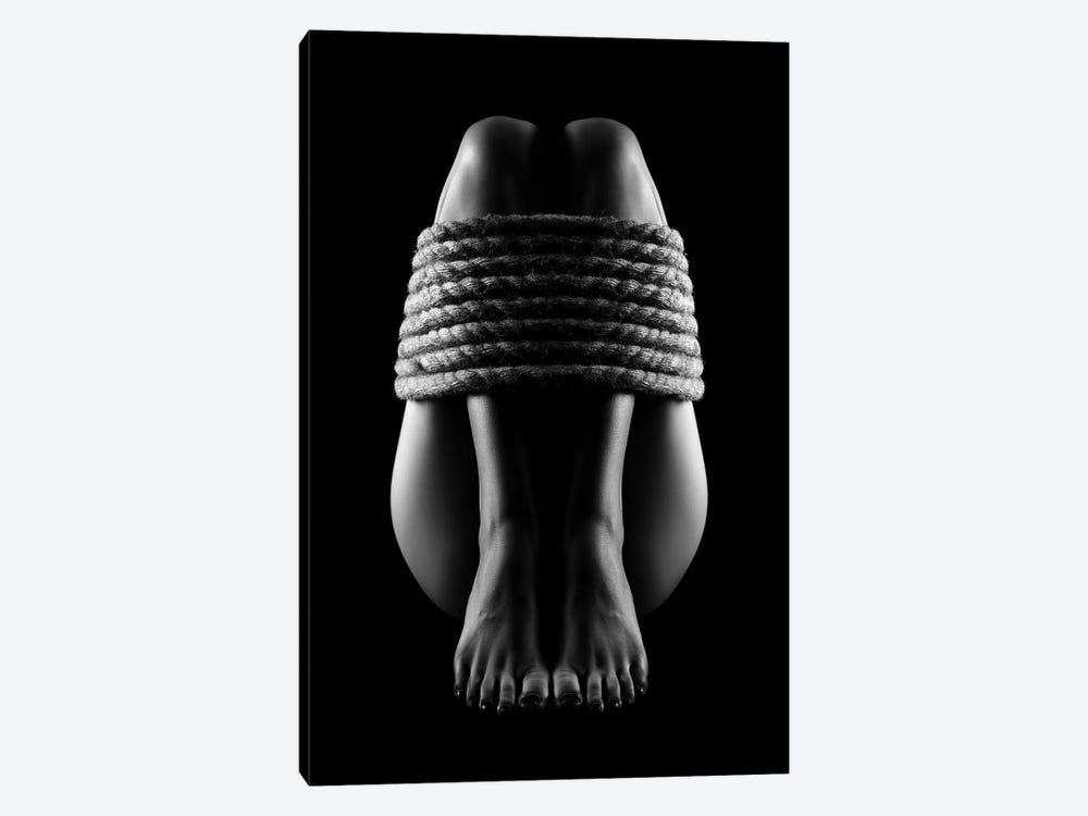 Nude Woman Bondage III by Johan Swanepoel 1-piece Art Print