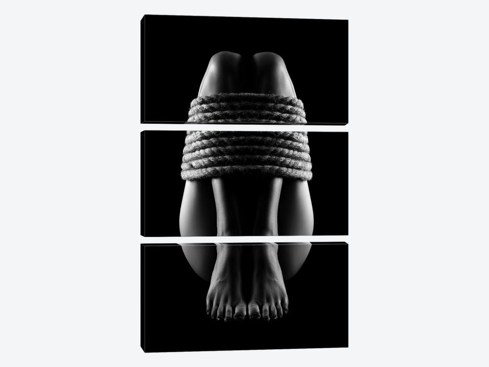 Nude Woman Bondage III by Johan Swanepoel 3-piece Canvas Art Print