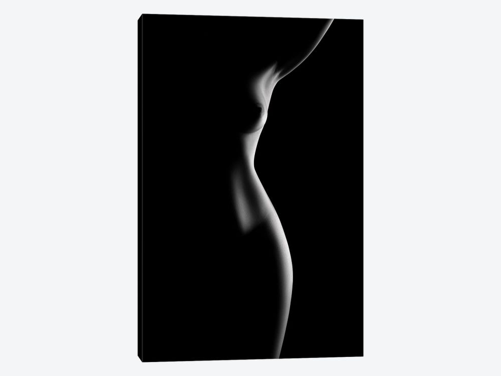 Nude Woman Bodyscape LXX by Johan Swanepoel 1-piece Canvas Art