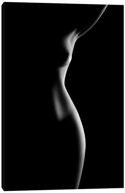 Nude Woman Bodyscape LXX Canvas Art Print - Johan Swanepoel