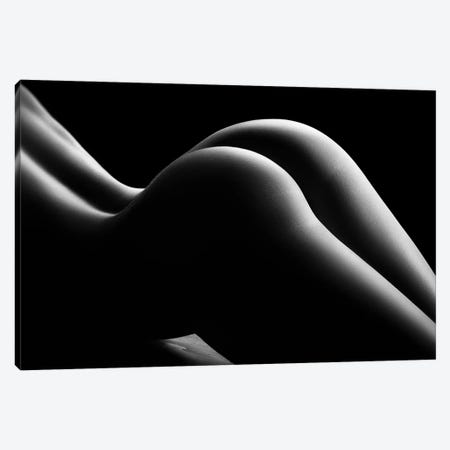 Nude Woman Bodyscape LXVIII Canvas Print #JSW201} by Johan Swanepoel Art Print