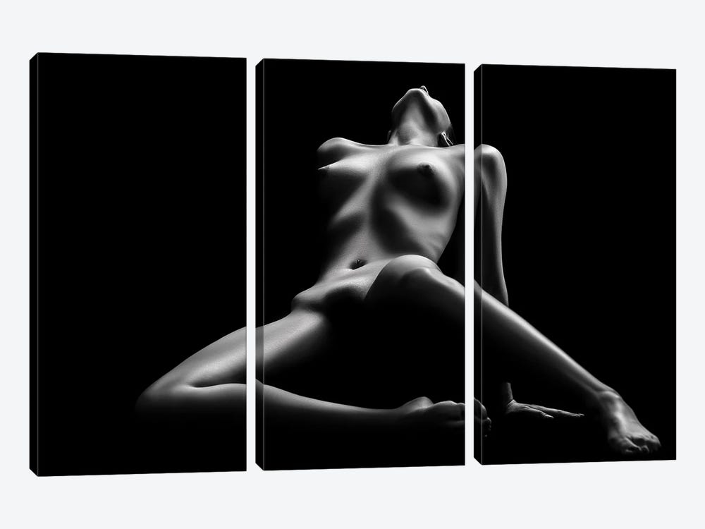 Nude Woman Bodyscape LXIX by Johan Swanepoel 3-piece Art Print