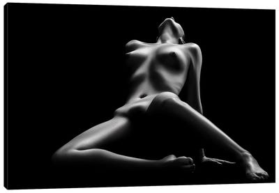 Nude Woman Bodyscape LXIX Canvas Art Print - Johan Swanepoel