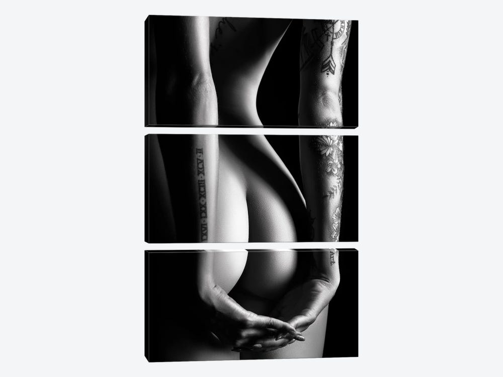 Sensual Nude Woman IV by Johan Swanepoel 3-piece Art Print
