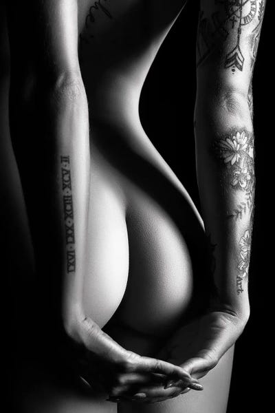 Johan Swanepoel: Sensual Nude Woman IV by Johan Swanepoel
