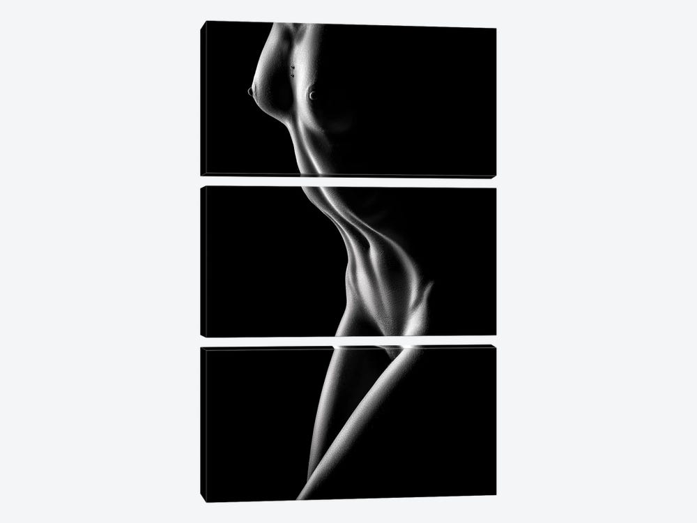Nude Woman Bodyscape LXXI by Johan Swanepoel 3-piece Canvas Art