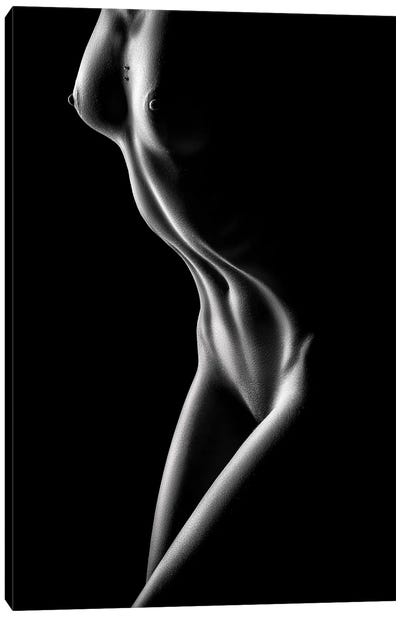 Nude Woman Bodyscape LXXI Canvas Art Print - Johan Swanepoel