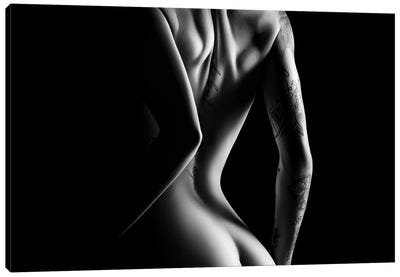 Nude Woman Bodyscape LXXII Canvas Art Print - Johan Swanepoel