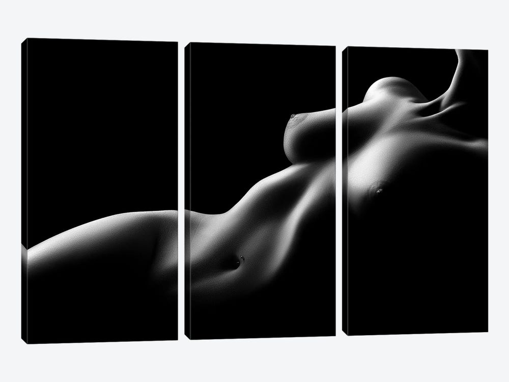 Nude Woman Bodyscape LXXV by Johan Swanepoel 3-piece Canvas Art