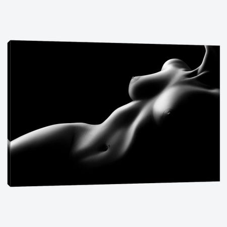 Nude Woman Bodyscape LXXV Canvas Print #JSW209} by Johan Swanepoel Art Print