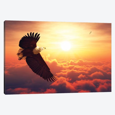 Fish Eagle Flying Above Clouds Canvas Print #JSW20} by Johan Swanepoel Canvas Wall Art