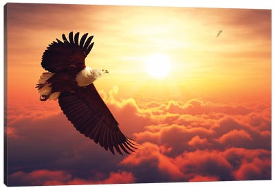Fish Eagle Flying Above Clouds Canvas Art Print - Eagle Art