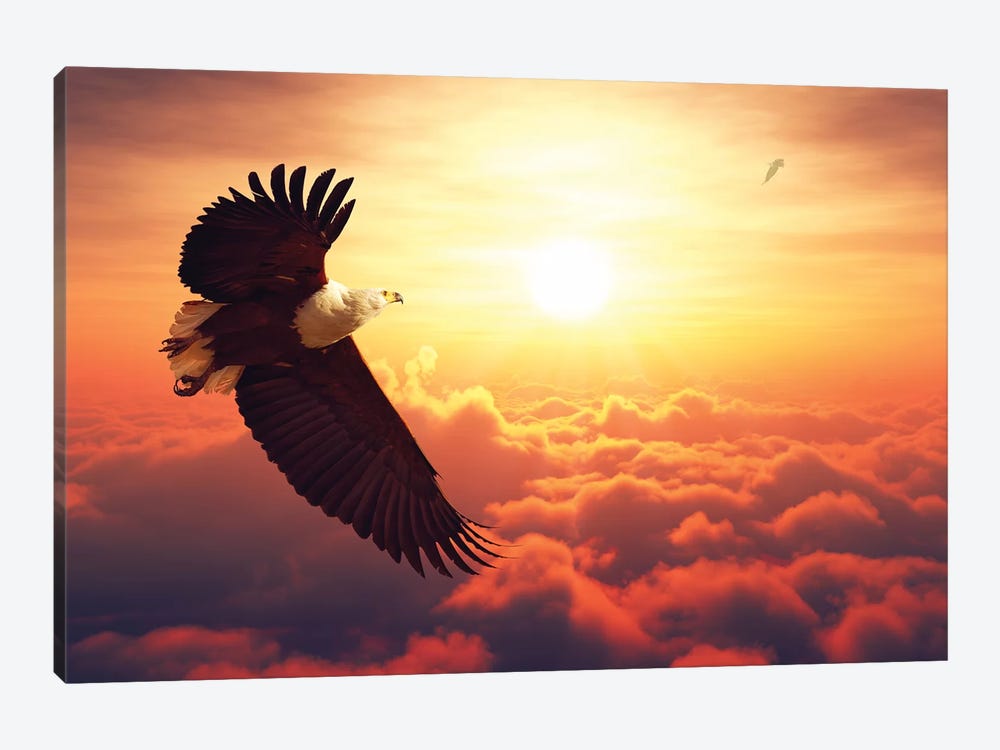 Fish Eagle Flying Above Clouds by Johan Swanepoel 1-piece Art Print