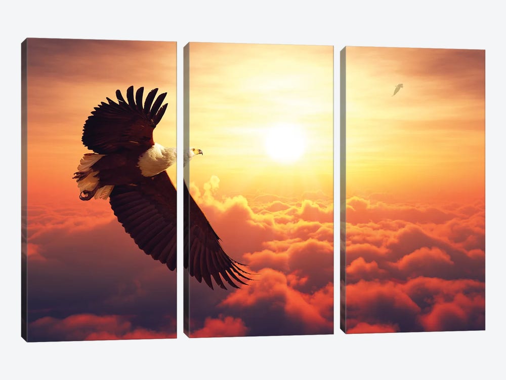 Fish Eagle Flying Above Clouds by Johan Swanepoel 3-piece Canvas Art Print
