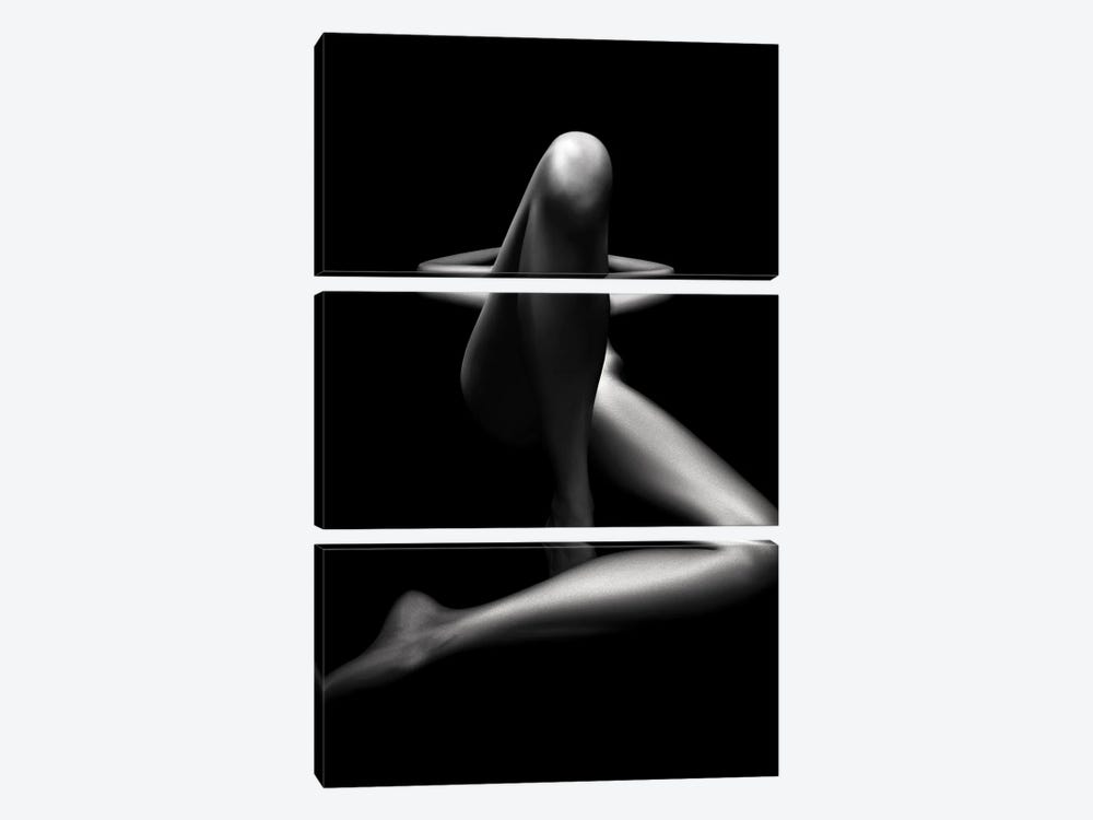 Nude Woman Bodyscape LXXVI by Johan Swanepoel 3-piece Canvas Artwork