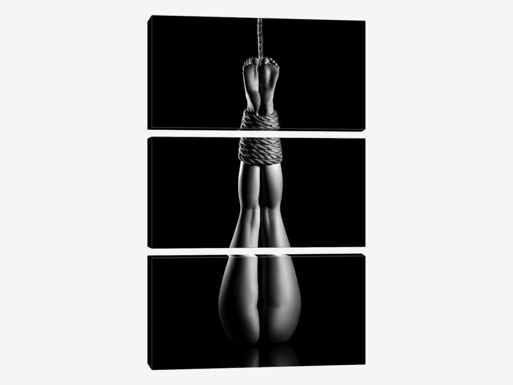 Nude Woman Bondage V by Johan Swanepoel 3-piece Canvas Print