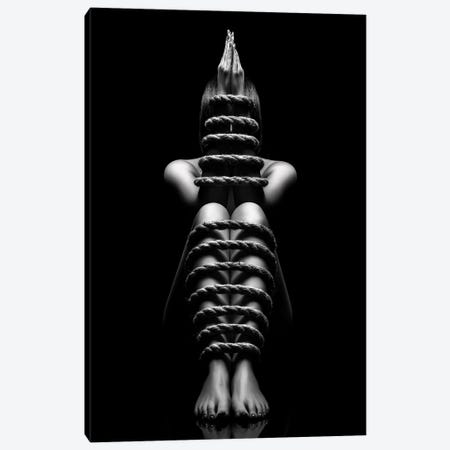 Woman in pantie closeup 4 Photograph by Johan Swanepoel - Fine Art America