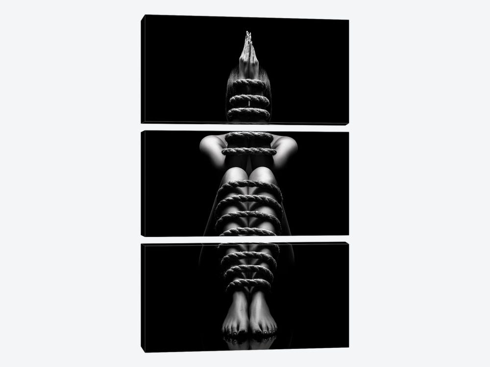 Nude Woman Bondage VI by Johan Swanepoel 3-piece Canvas Wall Art