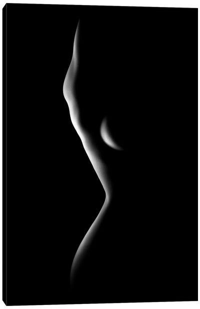 Nude Woman Bodyscape LXXVIII Canvas Art Print - Johan Swanepoel