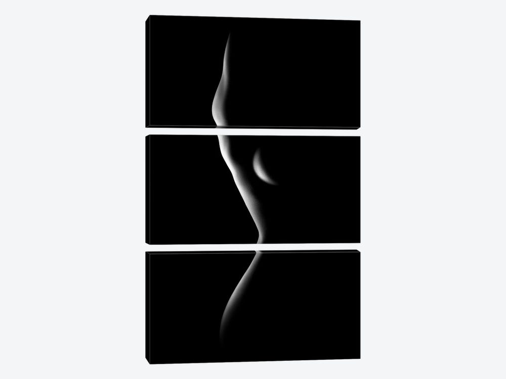 Nude Woman Bodyscape LXXVIII by Johan Swanepoel 3-piece Canvas Art