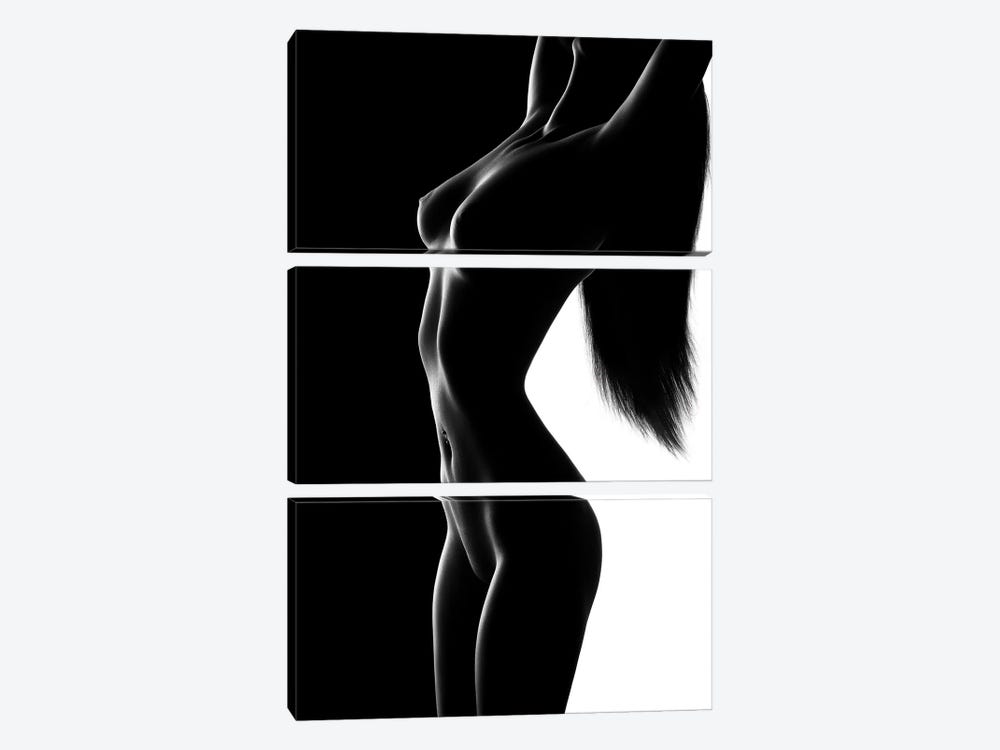 Nude Black Versus White III by Johan Swanepoel 3-piece Canvas Artwork