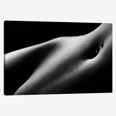 Nude Woman Bodyscape LXXXI Canvas Print #JSW222} by Johan Swanepoel Canvas Print