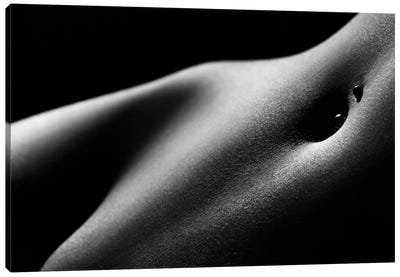 Nude Woman Bodyscape LXXXI Canvas Art Print - Johan Swanepoel