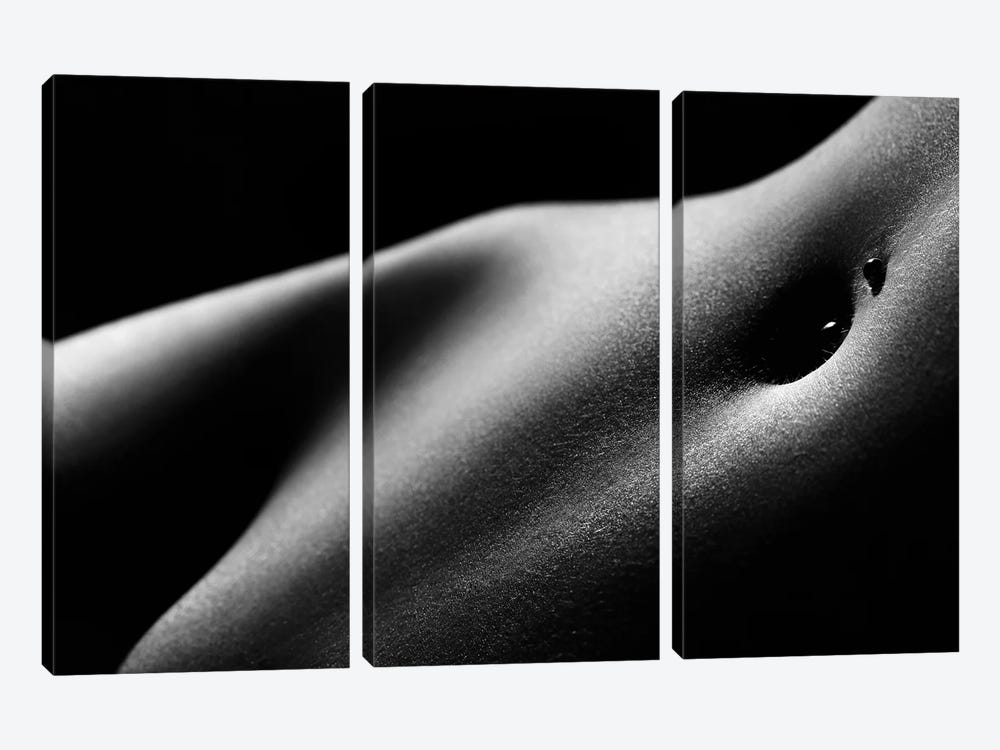 Nude Woman Bodyscape LXXXI by Johan Swanepoel 3-piece Canvas Print