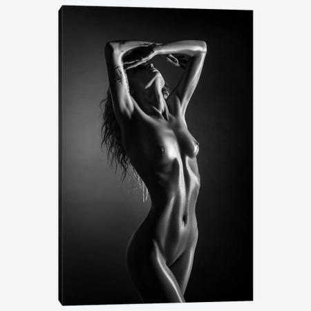 Nude Woman Fine Art XXV Canvas Print #JSW223} by Johan Swanepoel Canvas Print