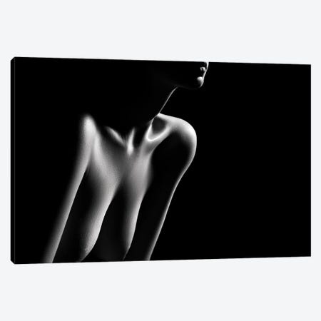 Nude Woman Bodyscape LXXXII Canvas Print #JSW224} by Johan Swanepoel Canvas Art
