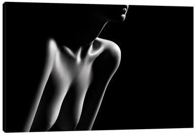 Nude Woman Bodyscape LXXXII Canvas Art Print - Johan Swanepoel