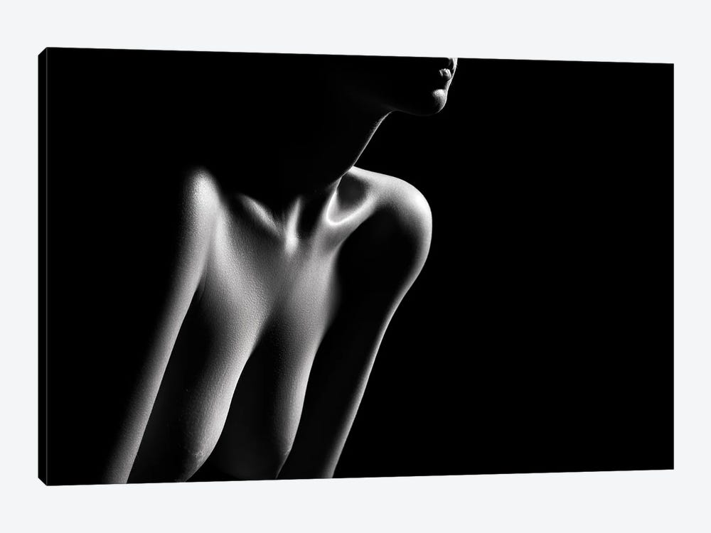 Nude Woman Bodyscape LXXXII by Johan Swanepoel 1-piece Canvas Print