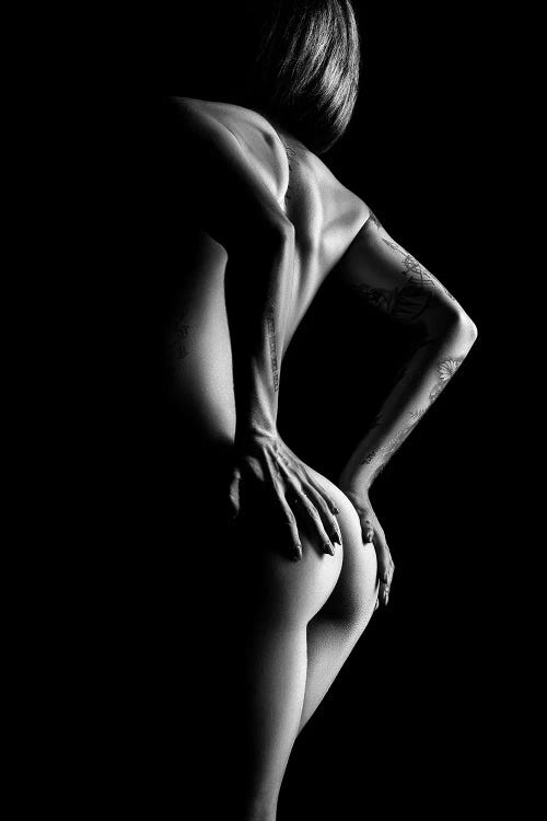 Nude Woman Body Scape LXXXVI by Johan Swanepoel wall art
