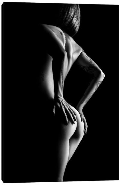 Nude Woman Body Scape LXXXVI Canvas Art Print - Red Passion