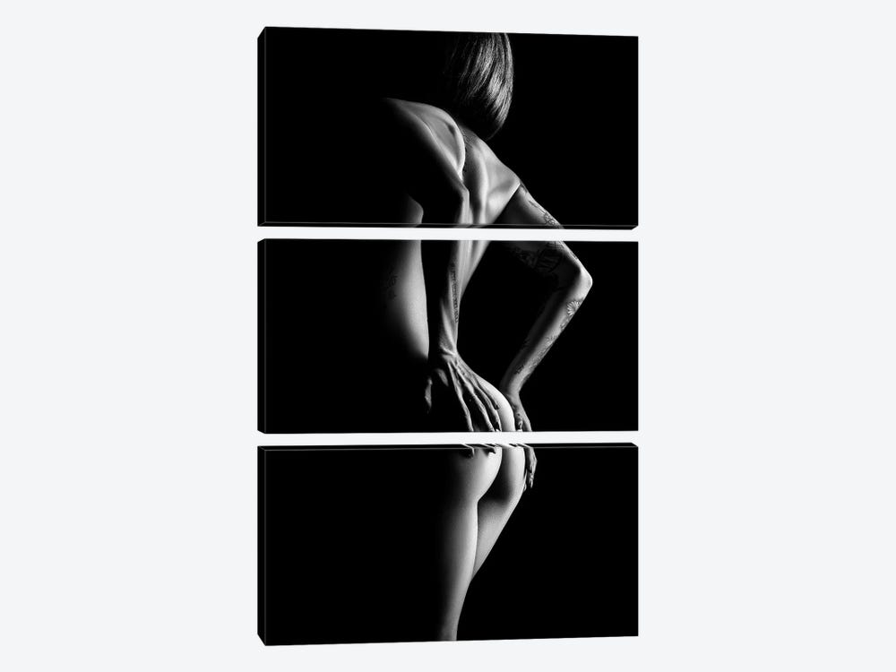 Nude Woman Body Scape LXXXVI by Johan Swanepoel 3-piece Canvas Wall Art