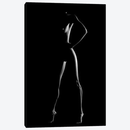 Nude Woman Bodyscape LXXX Canvas Print #JSW228} by Johan Swanepoel Art Print