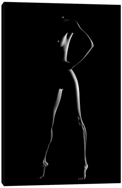 Nude Woman Bodyscape LXXX Canvas Art Print - Johan Swanepoel