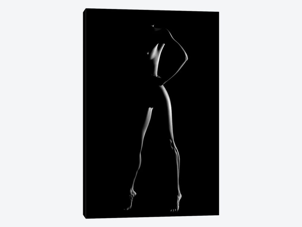 Nude Woman Bodyscape LXXX by Johan Swanepoel 1-piece Canvas Art Print