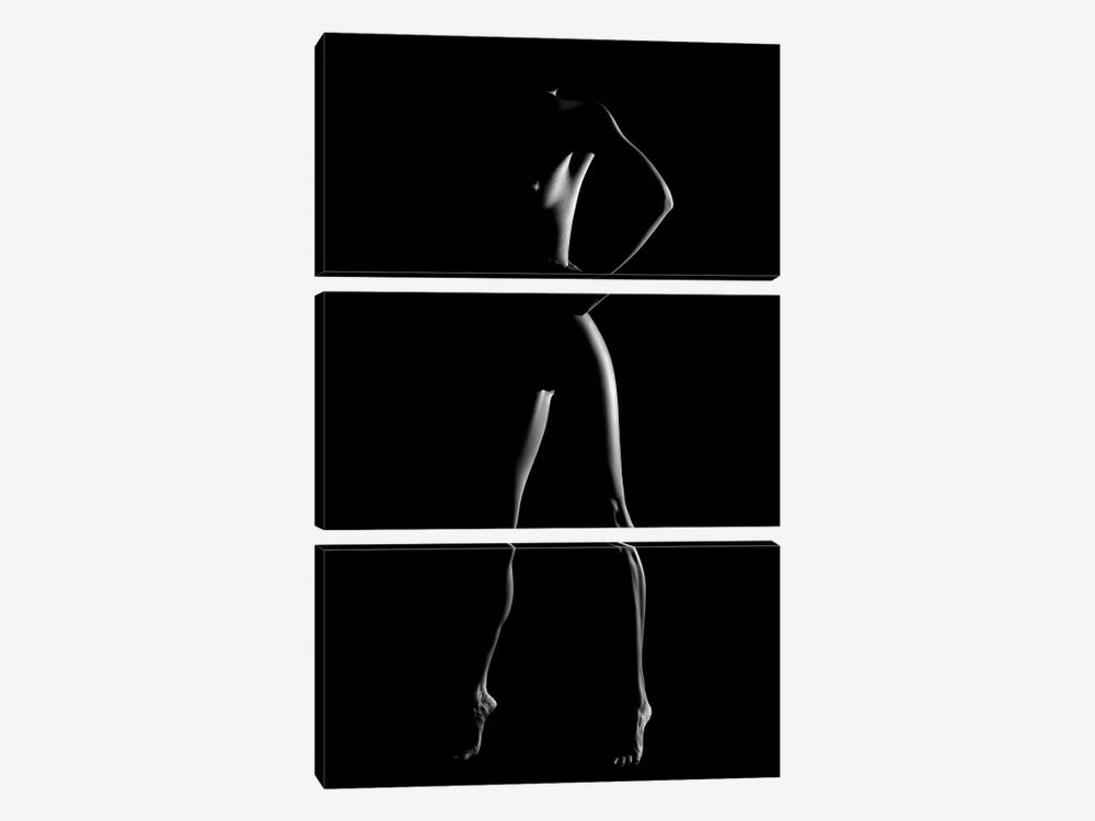 Nude Woman Bodyscape LXXX by Johan Swanepoel 3-piece Canvas Art Print