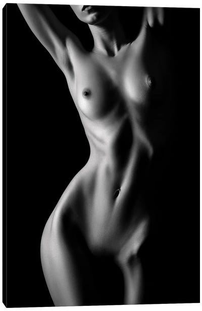 Nude Woman Bodyscape LXXXVII Canvas Art Print - Johan Swanepoel