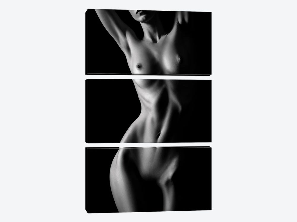 Nude Woman Bodyscape LXXXVII by Johan Swanepoel 3-piece Canvas Wall Art