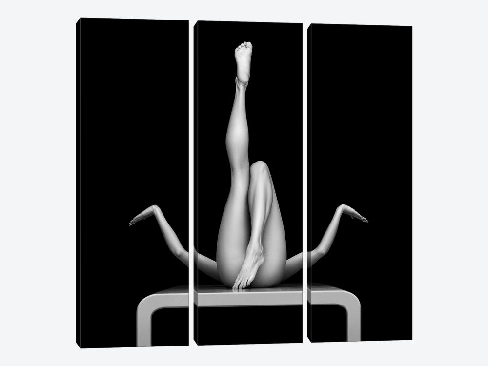 Nude Woman Fine Art XXVI by Johan Swanepoel 3-piece Art Print