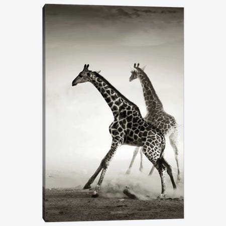 Giraffes Fleeing Canvas Print #JSW23} by Johan Swanepoel Canvas Wall Art